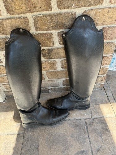 Cavallo english riding tall - cavallo,