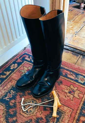 English regent leather riding - regent,